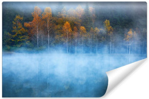 Fototapeta ŚCIENNA 3D do Salonu LAS Kolorowe Drzewa Natura 400cm x 280cm