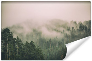 Fototapeta DEKORACYJNA 3D do Salonu LAS Mgła Drzewa Natura 360cm x 240cm