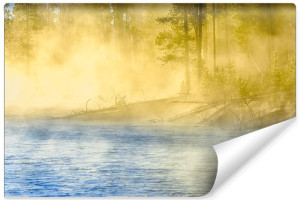 Fototapeta ŚCIENNA 3D do Salonu LAS Mgła Jezioro Pejzaż 180cm x 120cm