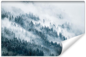 Fototapeta ŚCIENNA 3D do Salonu LAS Zimowy Krajobraz 400cm x 280cm