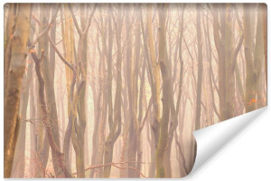 Fototapeta DEKORACYJNA 3D do Salonu LAS Drzewa Przyroda 180cm x 120cm