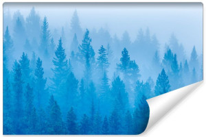 Fototapeta ŚCIENNA 3D Pejzaż LAS Odcienie Niebieskiego 135cm x 90cm
