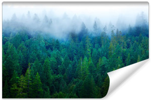 Fototapeta FLIZELINOWA 3D do Jadalni PRZYRODA Leśny Pejzaż 400cm x 280cm