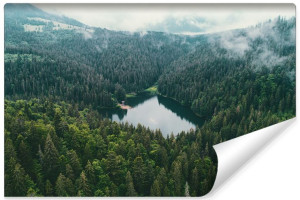 Fototapeta DEKORACYJNA 3D Krajobraz Jezioro w Lesie Natura 90cm x 60cm