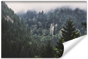 Fototapeta NA ŚCIANĘ 3D Modny Krajobraz LAS na Wzgórzach 90cm x 60cm