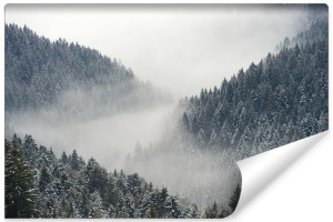 Fototapeta NA ŚCIANĘ 3D Modny Pejzaż LAS Zima w Górach 180cm x 120cm