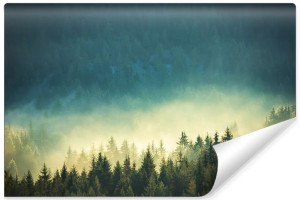 Fototapeta NA ŚCIANĘ 3D Pejzaż PRZYRODA Drzewa Iglaste 135cm x 90cm