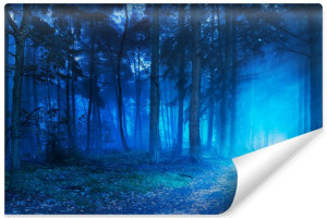 Fototapeta NA ŚCIANĘ 3D Krajobraz LAS Nocą PRZYRODA Drzewa 450cm x 300cm