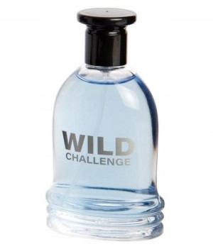 Street Looks Wild Challenge EDT 100ml (M) ORYGINAŁ