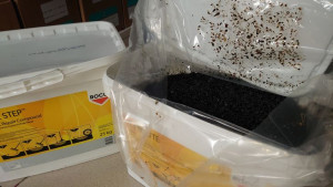 Masa do naprawy asfaltu Rocol Asphalt Repair