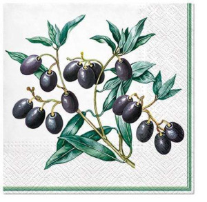 Pl Serwetki Napkins Olives With Frame