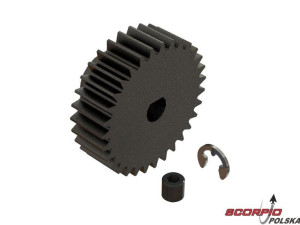 Arrma zębatka 31T 0.8M Safe-D5