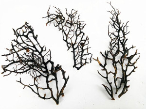 Wiatrak Morski , Gałązka, Las W Słoiku Szkle 10cm