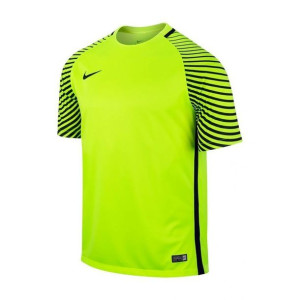 Koszulka bramkarska Nike Gardien 725889-702