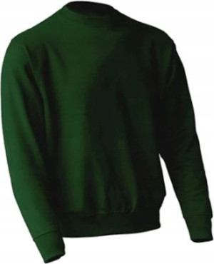 Bluza męska klasyczna JHK BOTTLE GREEN roz XL