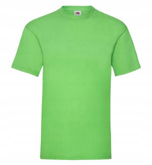 T-shirt Koszulka męska Fruit Valueweight S