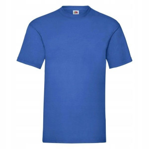 T-shirt Koszulka męska Fruit Valueweight BLUE L