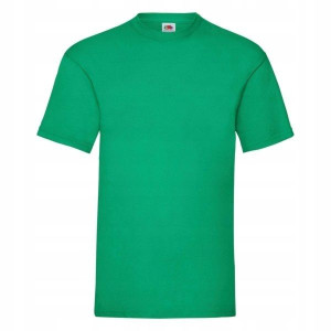 T-shirt Koszulka męska Fruit Valueweight GREEN M