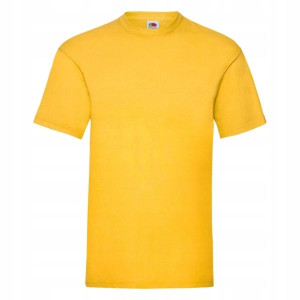 T-shirt Koszulka męska Fruit Valueweight YELLOW
