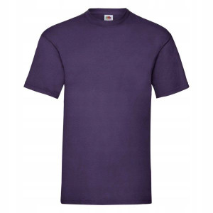 T-shirt Koszulka męska Fruit Valueweight PURPLE L