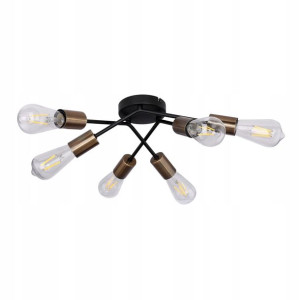 Globo Plafon Sarini 54003-6D Industrial Loft