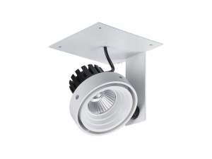Italux Spot Patrizio GL7118-1/1X12W 4000K WH+BL