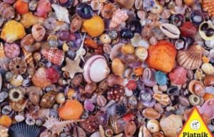 Puzzle 1000 Muszelki Piatnik