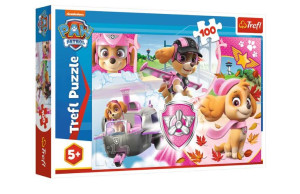 Puzzle 100 Skye W Akcji Trefl