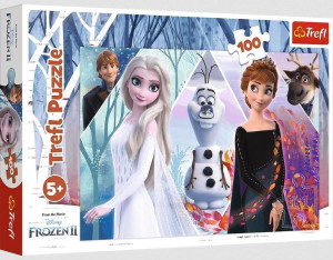 Puzzle 100 Zaczarowana Kraina Trefl