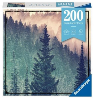 Puzzle Moment 200 Las
