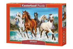 Puzzle 2000 Call Of Nature Castor