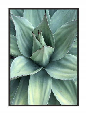 OBRAZ PLAKAT W RAMIE 53x73 cm Liście P1035