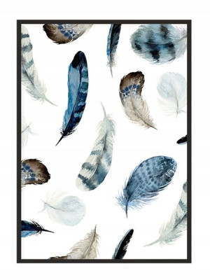 OBRAZ PLAKAT W RAMIE 33x43 cm Piórka P1346
