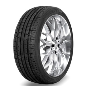 Nexen Classe Premiere Cp643a 225/55r17 97v