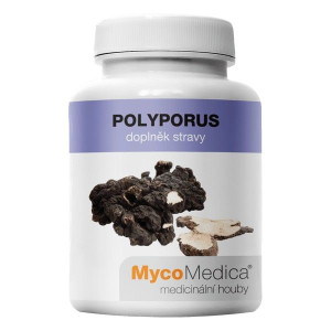 Polyporus Suplement diety - MycoMedica