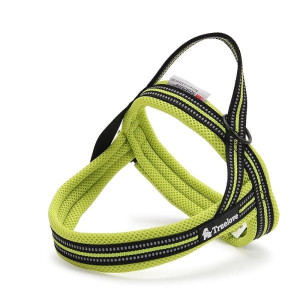 Szelki dla psa Truelove Active
