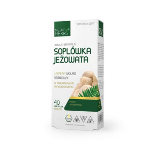 Soplówka jeżowata 600mg 40 kaps