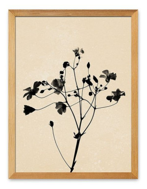Obraz na płótnie plakat Boho 33x43cm jesienna trawa