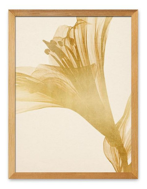 Obraz na płótnie plakat Boho 33x43cm jesienny kwiat