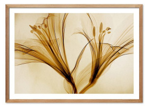 Obraz plakat na płótnie 53x73cm plakat Boho kwiaty