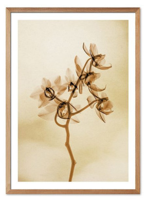 Obraz plakat na płótnie 53x73cm plakat Boho kwiatki