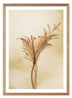 Obraz plakat na płótnie 53x73cm plakat Boho trawa