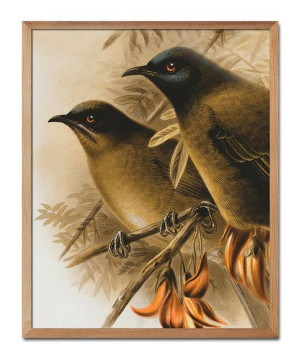 Obraz plakat na płótnie 43x53cm plakat Boho ptaki
