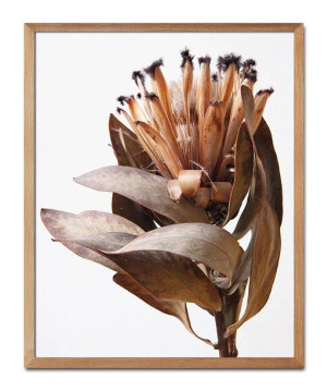Obraz plakat na płótnie 43x53cm plakat Boho kwiat