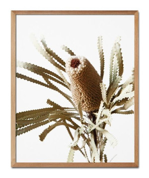 Obraz plakat na płótnie 43x53cm plakat Boho szyszka