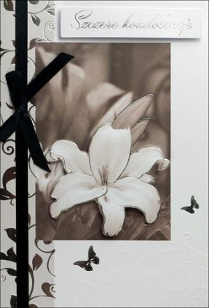 Kartka Szczere Kondolencje H1286