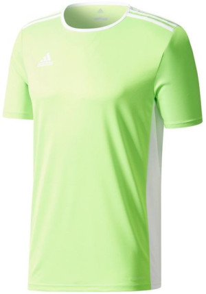 Koszulka dla dzieci adidas Entrada 18 Jersey JUNIOR limonkowa CE9758/CE9755