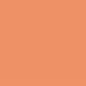 Pactra Farba A61 Enamel cielista Skin Tone do modeli