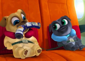 Bingo I Rolly 15