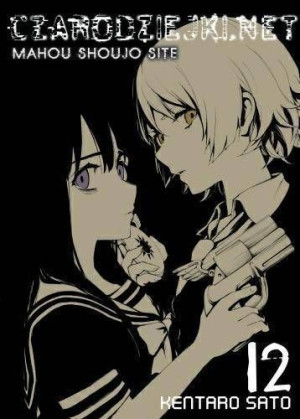 Manga Czarodziejki.net Tom 12